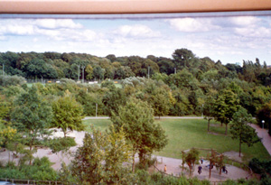 View 1